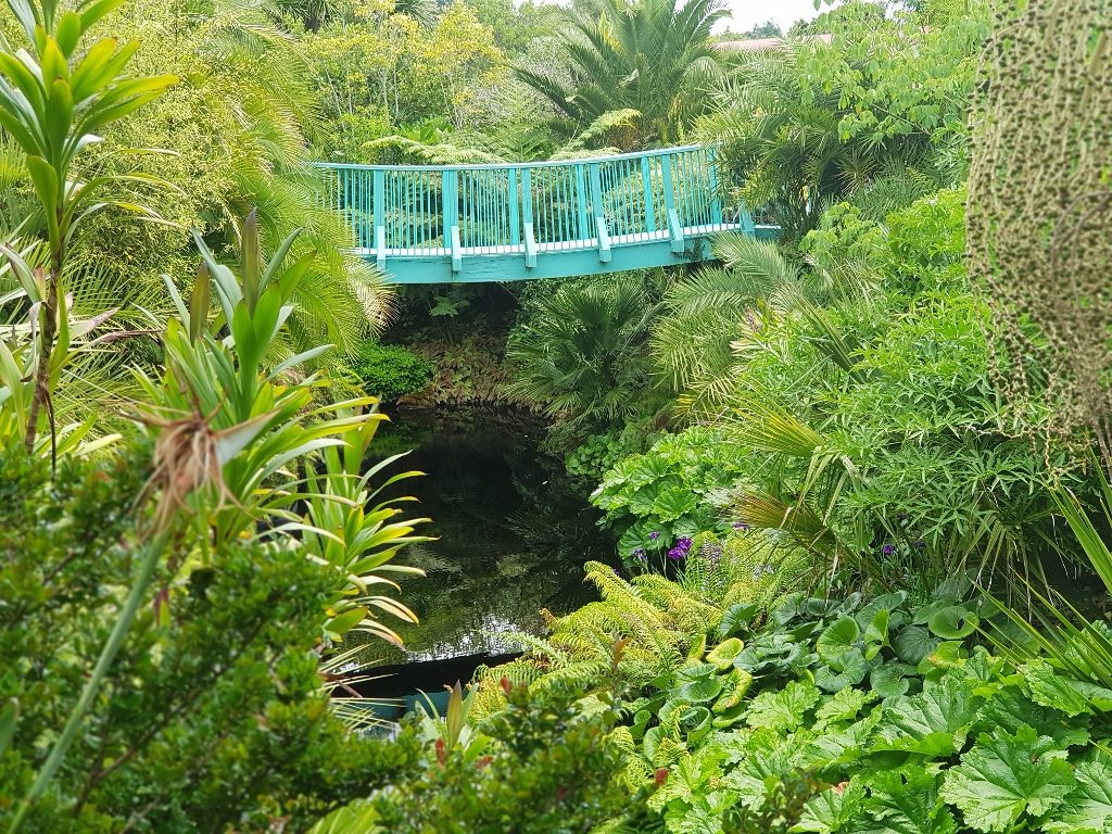 ハミルトンガーデン 亜熱帯ガーデン