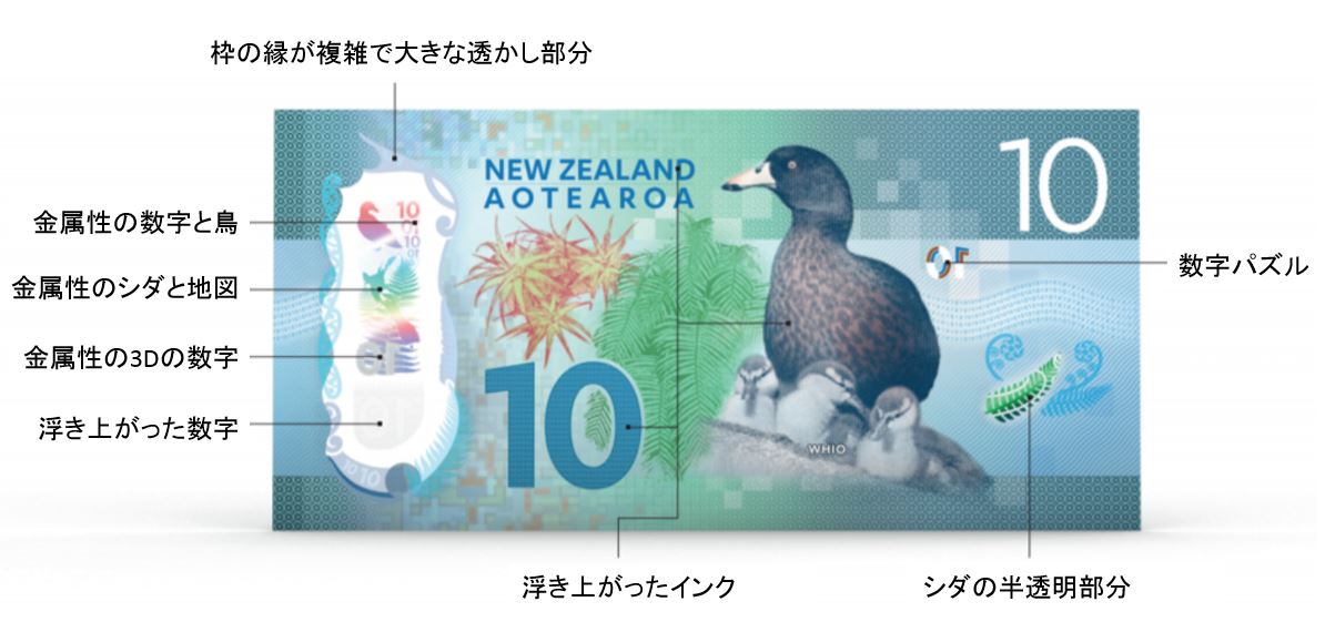 ニュージーランド10ドル紙幣
