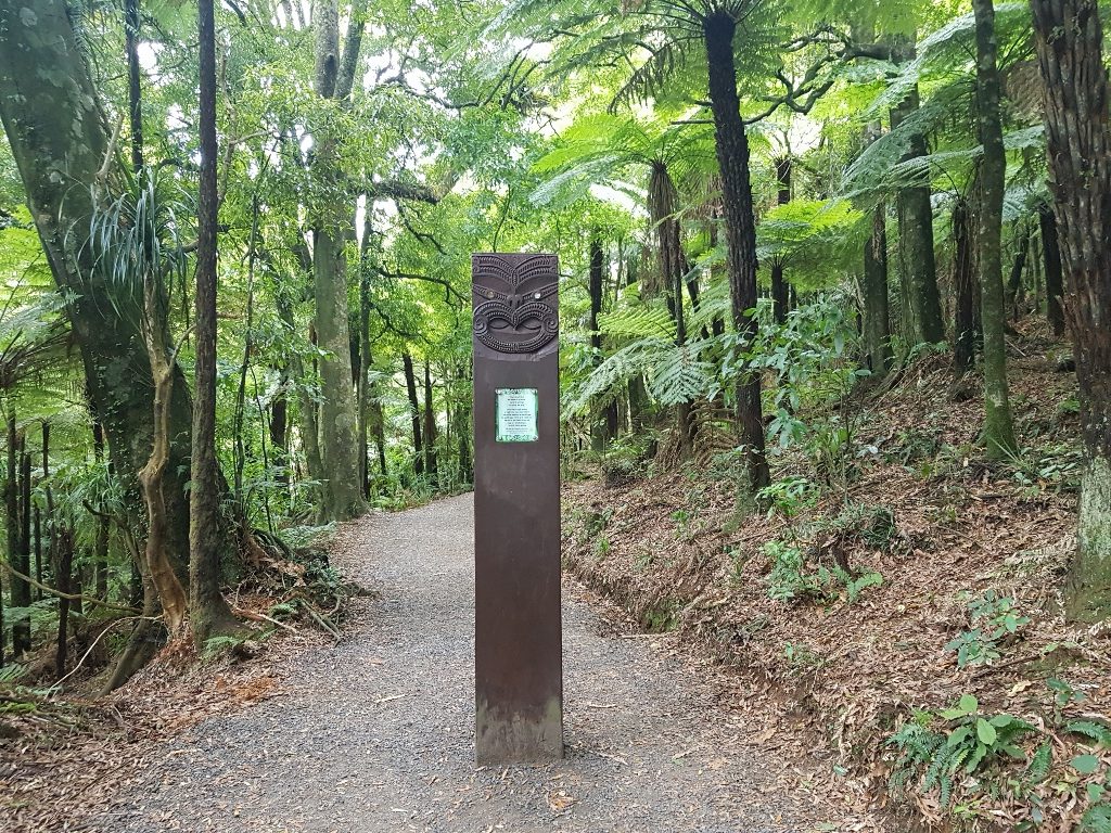 ニュージーランド　ワイカト　ラグラン　花嫁のベール滝