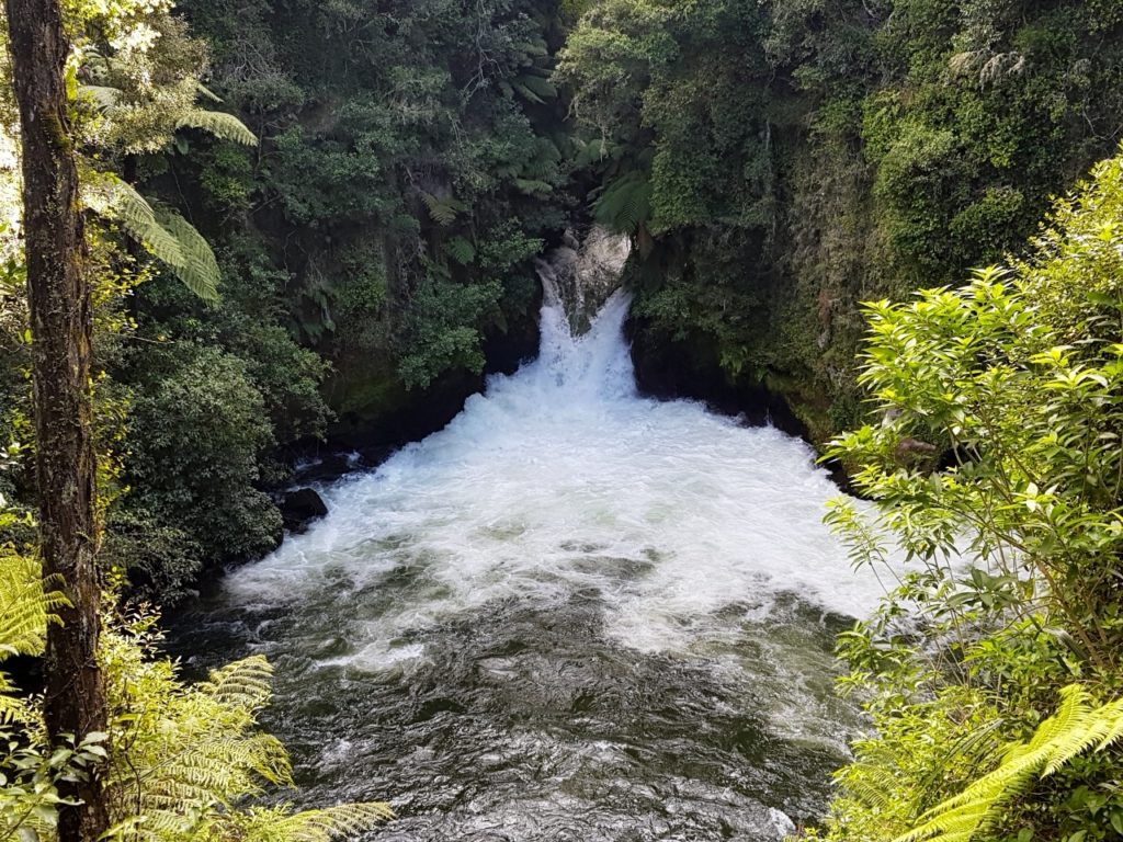 ニュージーランド　ロトルア　滝